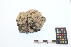 Foto von Gold Gediegen (NHMW-MIN-Aq691)